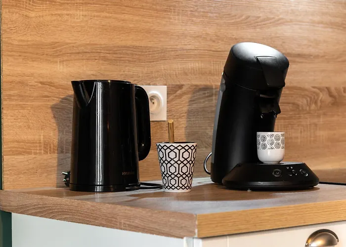 Apartment L'emeraude De La Cite - Netflix - Clim - Proche Cite